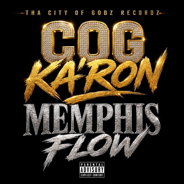 Memphis Flow — cover art