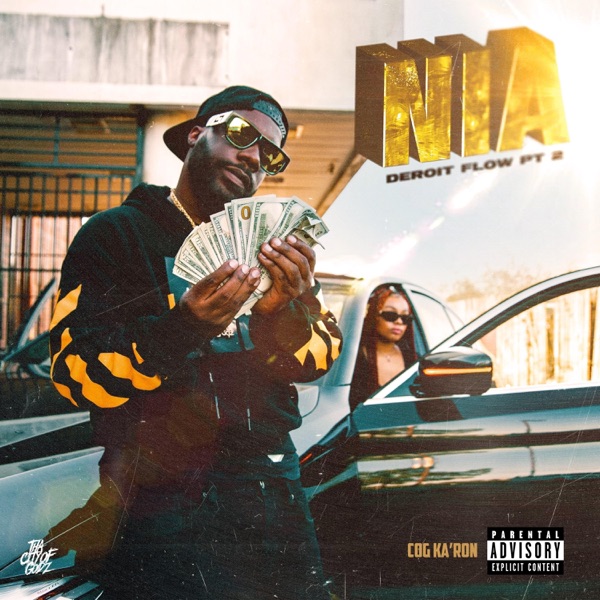 NIA (Detroit Flow Pt. 2) — cover art