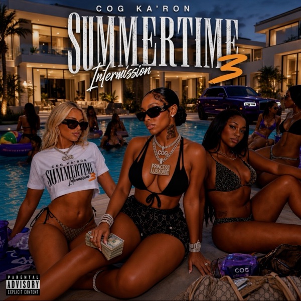 Summertime Intermission 3 — cover art